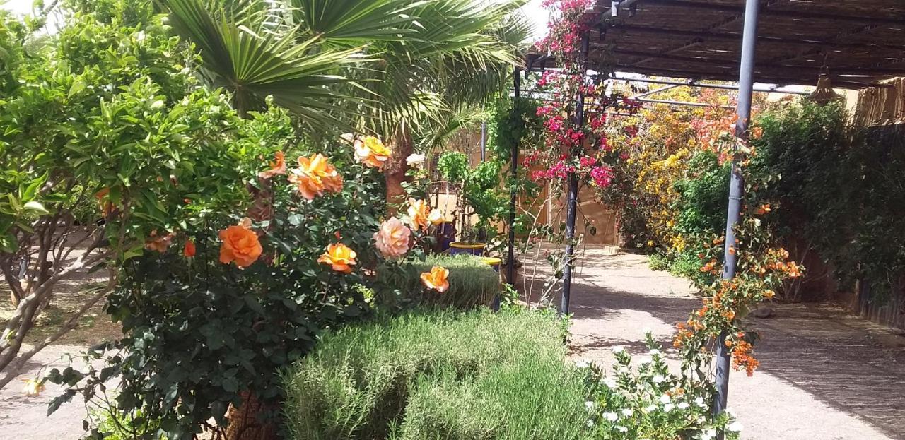 Auberge Bassou Nkob Esterno foto