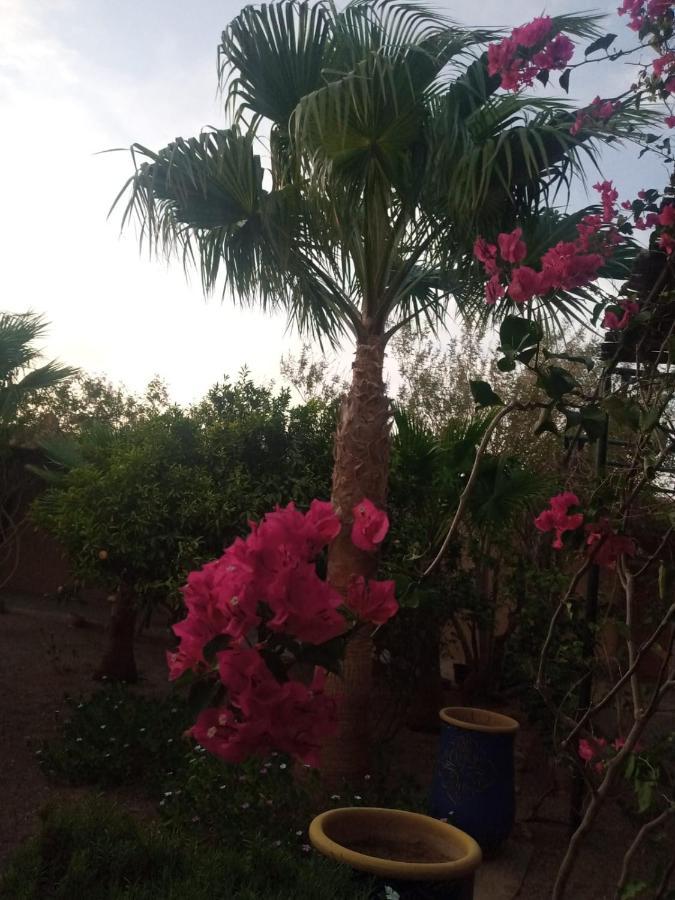 Auberge Bassou Nkob Esterno foto